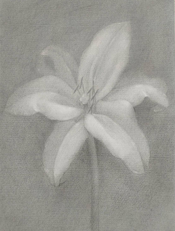 870*450